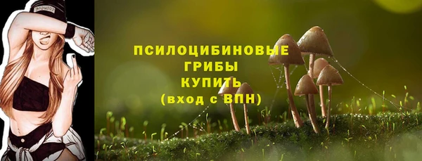 ALPHA PVP Арсеньев