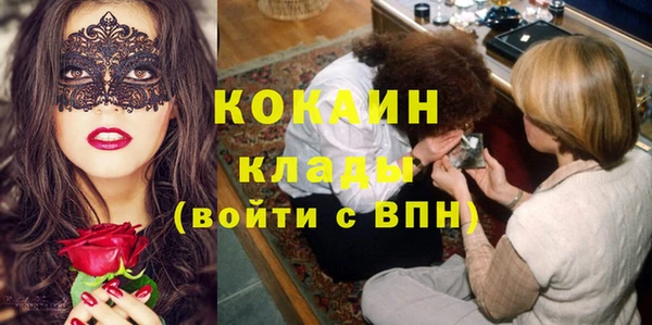 ГАЛЛЮЦИНОГЕННЫЕ ГРИБЫ Аркадак
