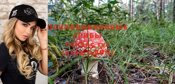 ГАЛЛЮЦИНОГЕННЫЕ ГРИБЫ Аркадак