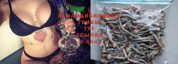 шишки Армянск