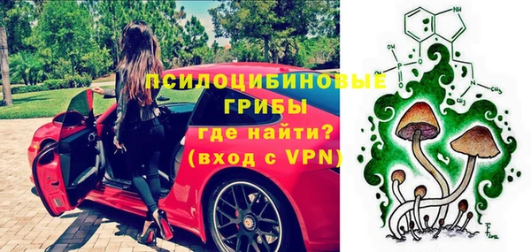 шишки Армянск