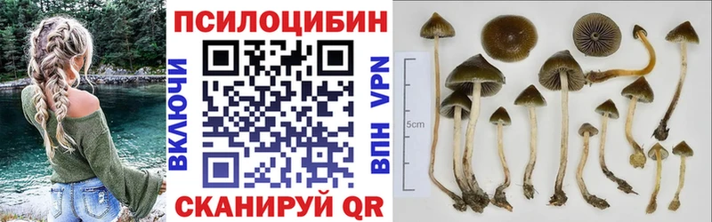 darknet состав  Пудож  Галлюциногенные грибы ЛСД  купить  цена 