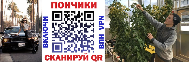 Конопля VHQ  гидра ссылка  Пудож 